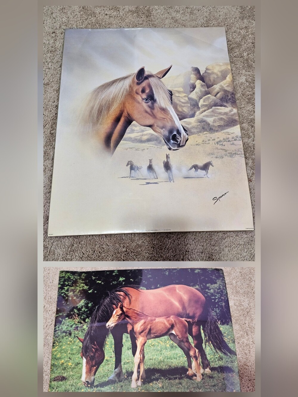 New! Horse Picture Prints Set of 2 - Hang or Frame - Glass Like Film 16 X 20 in